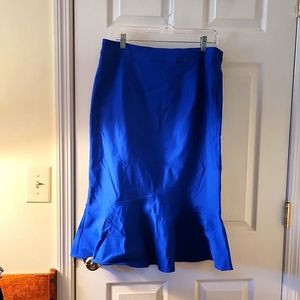 Blue Midi Skirt NWT